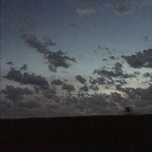 Meet your Posher, Maggie